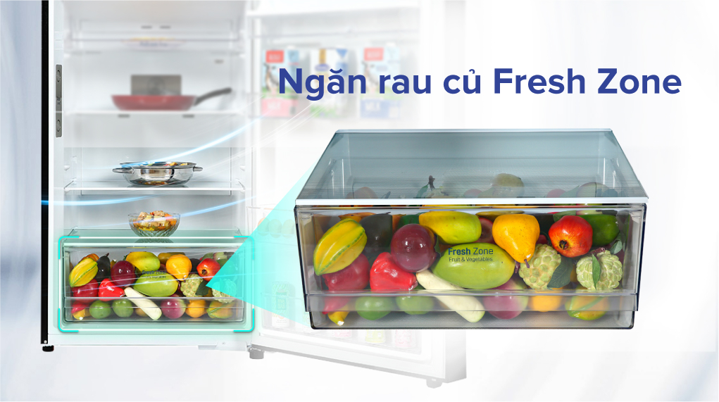 Tủ lạnh LG Inverter 374 Lít GN-D372BL - Ngăn rau củ Fresh Zone 