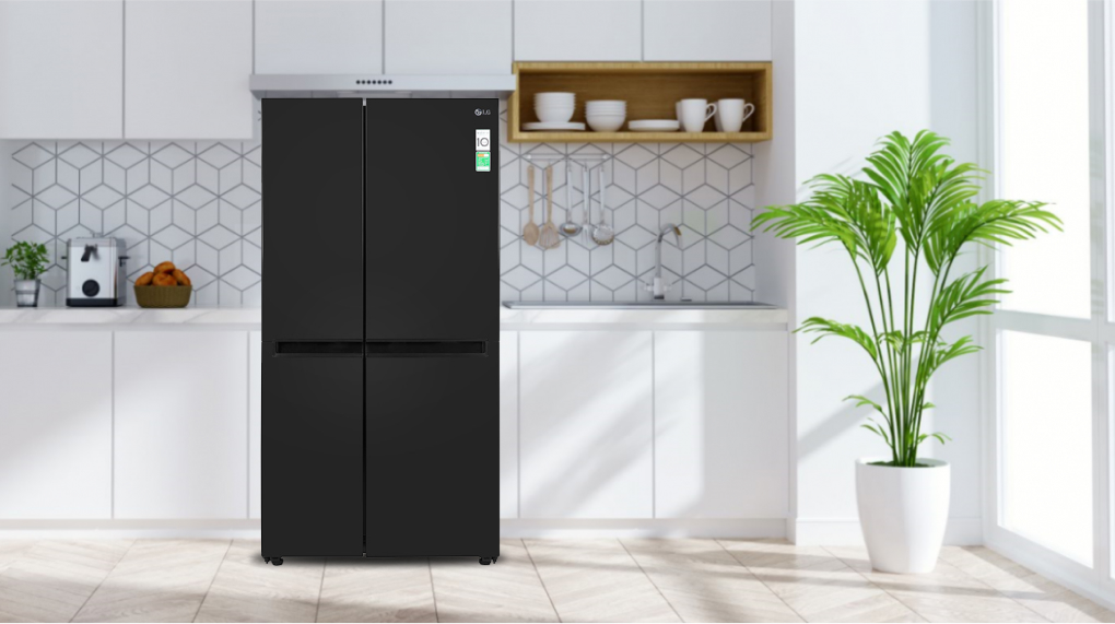 Tủ lạnh LG Inverter 649 Lít GR-B257WB - Thiết kế
