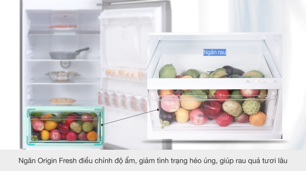 Tủ lạnh Toshiba Inverter 407 lít GR-RT535WE-PMV(06)-MG - Ngăn Origin Fresh