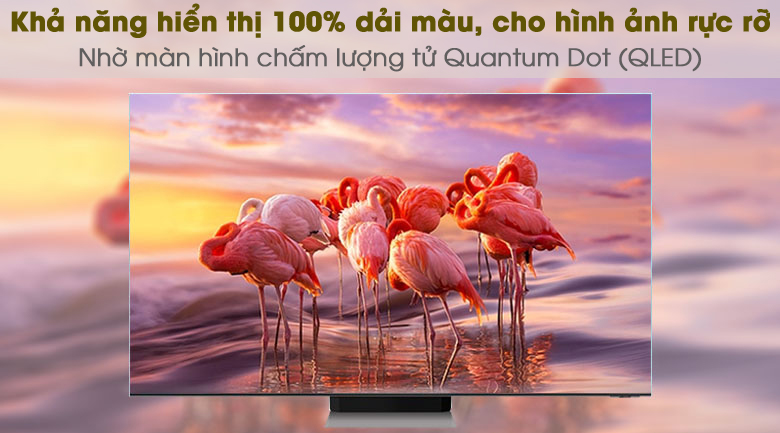 Quantum Dot - Smart Tivi QLED 4K 55 inch Samsung QA55Q65A