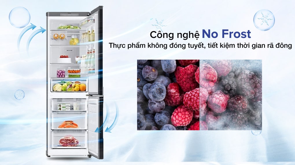 Công nghệ No Frost-Tủ lạnh Samsung Inverter 339 lít RB33T307055/SV