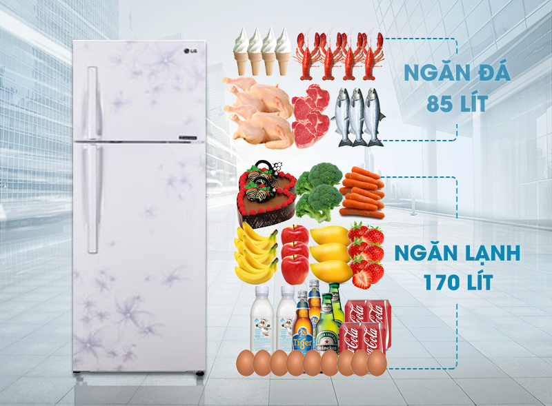 Tủ lạnh LG GN-L275BF